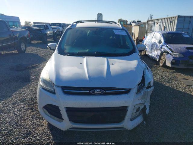 Ford Escape Titanium Image 17