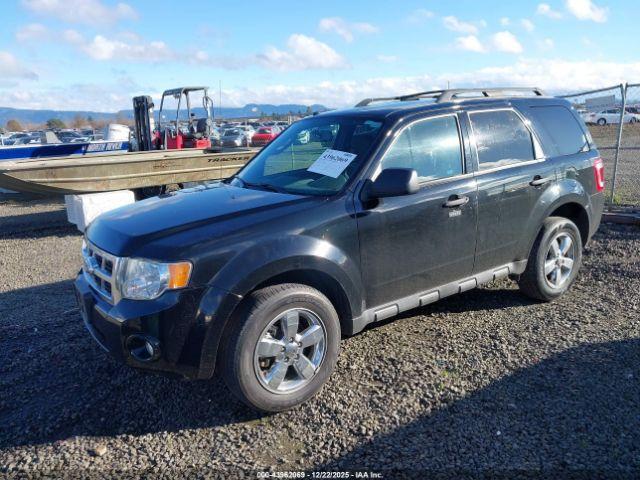 Ford Escape Xlt Image 11