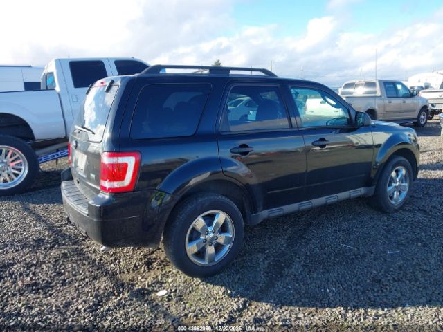 Ford Escape Xlt Image 4