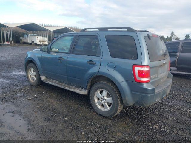 Ford Escape Xlt Image 6