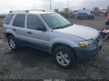  Salvage Ford Escape