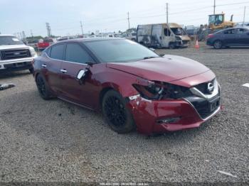  Salvage Nissan Maxima