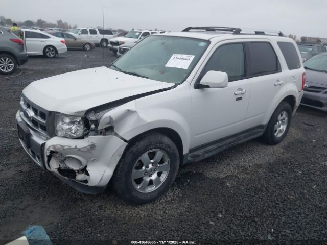 Ford Escape Limited Image 4