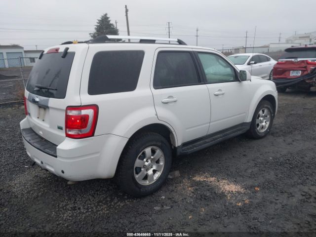 Ford Escape Limited Image 5