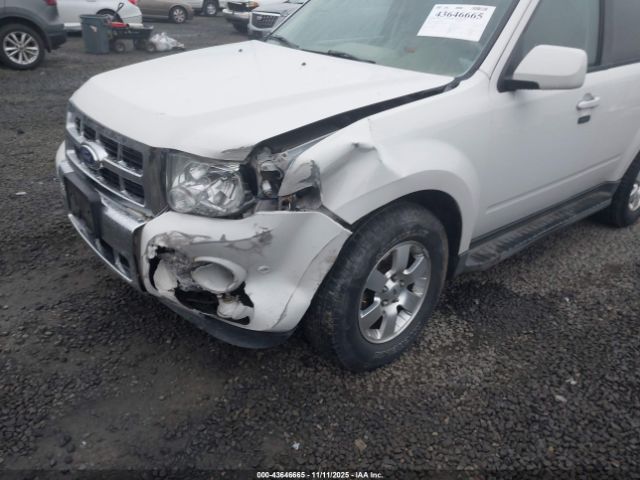 Ford Escape Limited Image 2