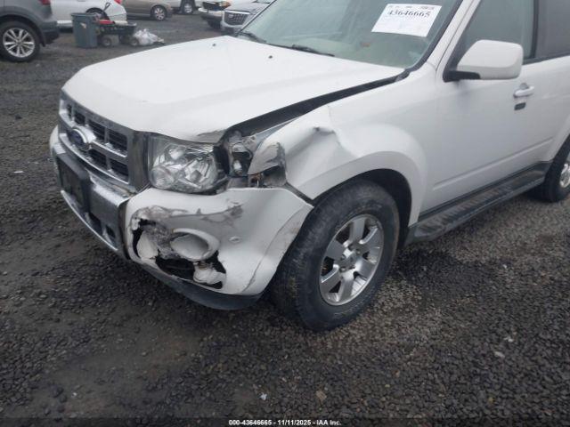 Ford Escape Limited Image 2