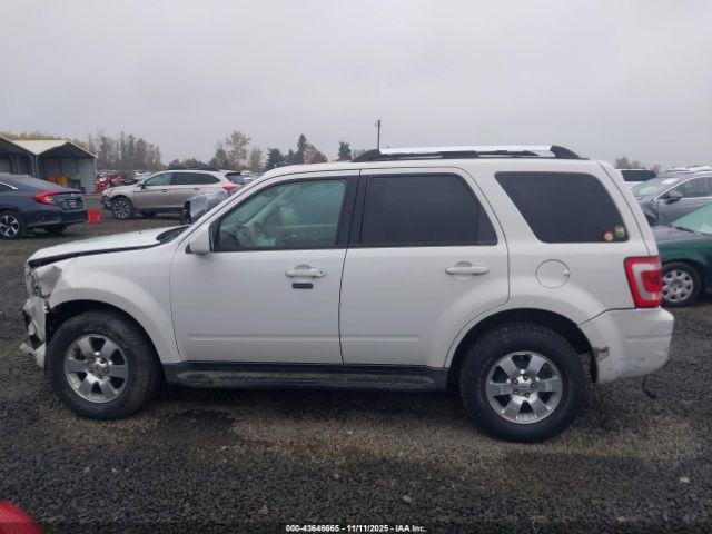 Ford Escape Limited Image 8