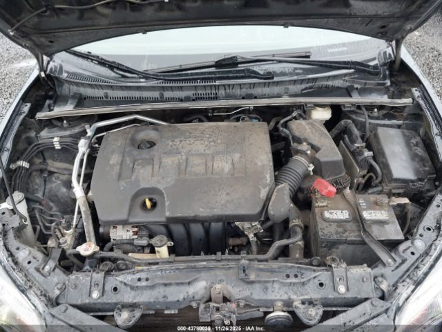 Toyota Corolla Le Image 9