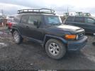 Toyota FJ Cruiser Image 1