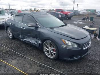  Salvage Nissan Maxima
