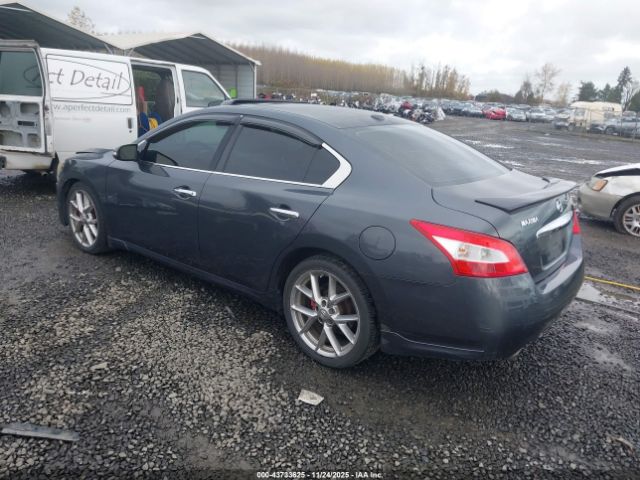 Nissan Maxima 3.5 Sv Image 2