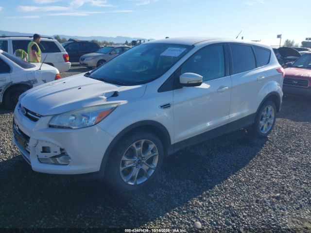 Ford Escape Sel Image 15