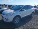 Ford Escape Sel Image 15