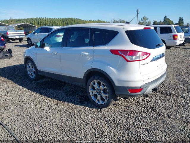 Ford Escape Sel Image 6
