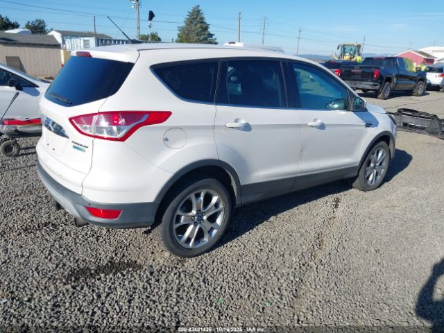 Ford Escape Sel Image 16