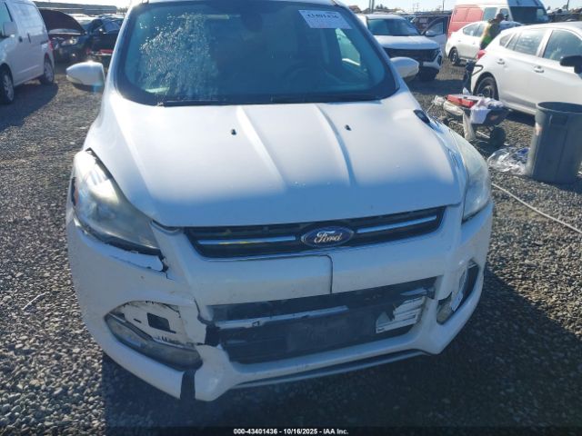 Ford Escape Sel Image 7