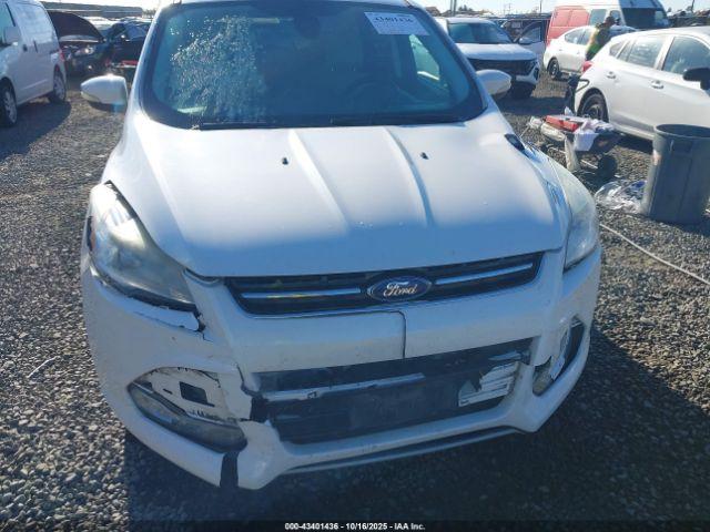 Ford Escape Sel Image 7