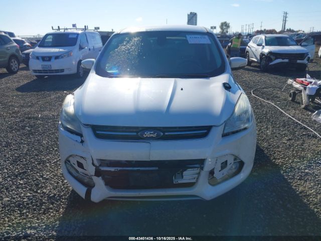 Ford Escape Sel Image 3