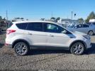 Ford Escape Sel Image 13