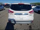 Ford Escape Sel Image 4