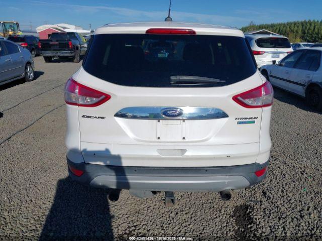 Ford Escape Sel Image 4
