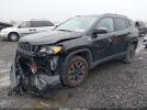 Jeep Compass Trailhawk 4x4 Image 5