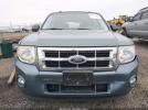Ford Escape Xlt Image 6