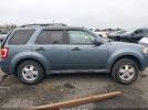 Ford Escape Xlt Image 10