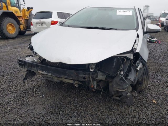 Toyota Corolla S Image 7