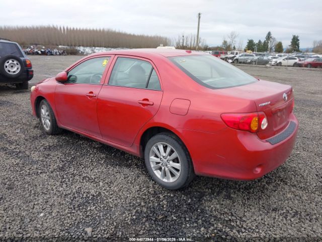 Toyota Corolla Le Image 2