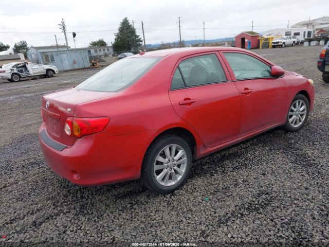 Toyota Corolla Le Image 8