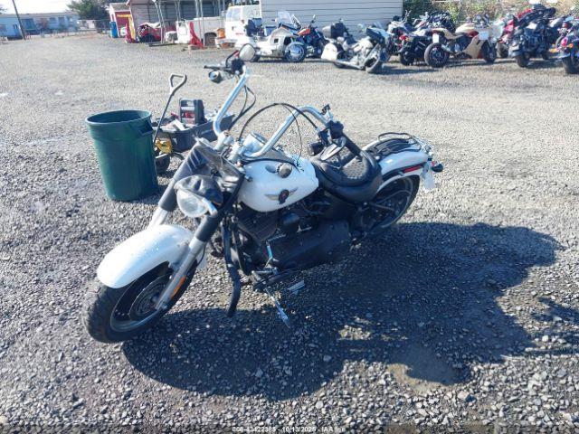 Harley-Davidson Flstfb Image 14