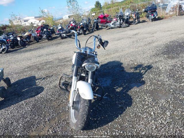 Harley-Davidson Flstfb Image 8