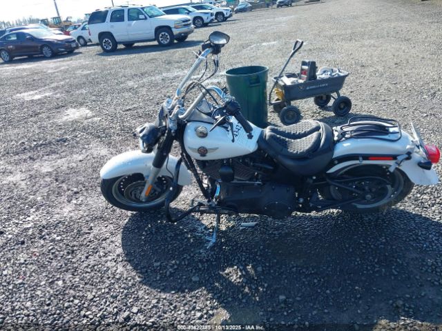 Harley-Davidson Flstfb Image 16