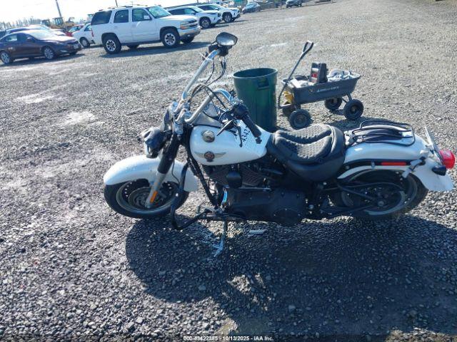 Harley-Davidson Flstfb Image 16