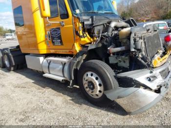  Salvage International Prostar